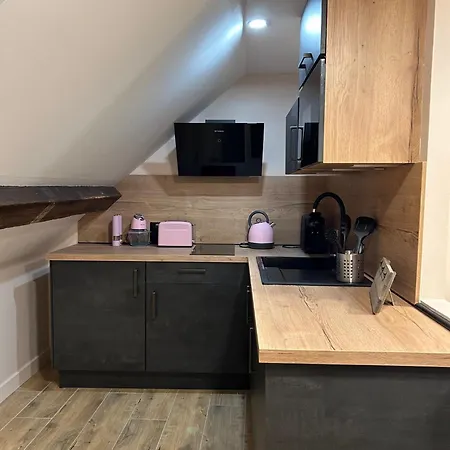 'secret Des Combles' Vosges Apartment Plombières-les-Bains